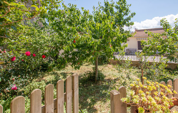 Domy wakacyjne - Montegiovi , Wlochy - ITG346 101