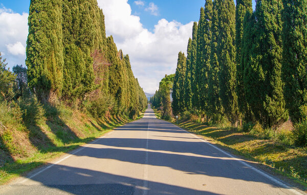 Ferieleilighet - Castagneto Carducci , Italia - ITK011 8