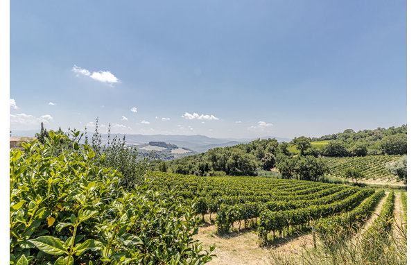 Casa vacanze - Montecatini Val di Cecina , Italia - ITK260 906