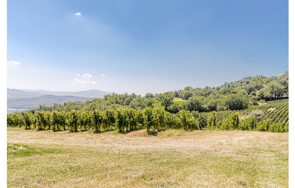 Casa vacanze - Montecatini Val di Cecina , Italia - ITK260 908