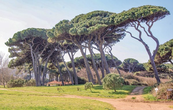 Casa di vacanze Casale Cuche