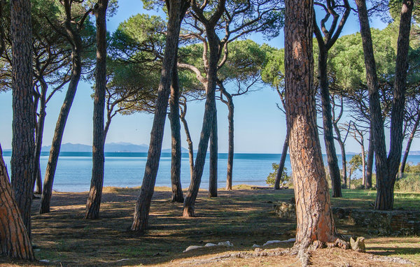 Ferienhaus - Piombino , Italien - ITK570 6