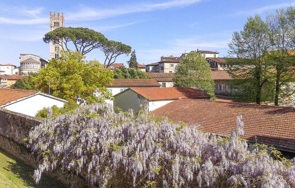 Apartment - Barga , Italy - ITL001 907