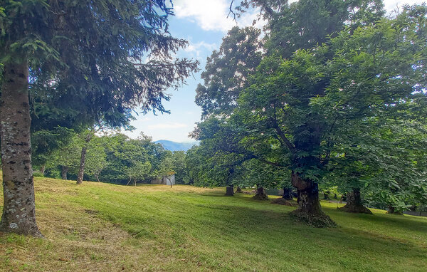 Domy wakacyjne - Barga , Wlochy - ITL021 104