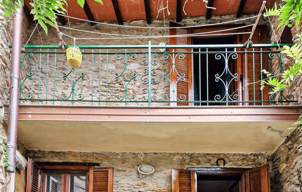 Holiday Home - Levigliani , Italy - ITL050 101