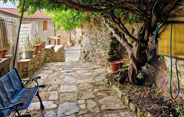 Holiday Home - Levigliani , Italy - ITL050 6