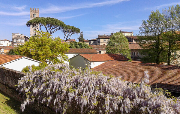 Casa vacanze - Gioviano , Italia - ITL056 904