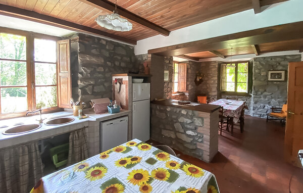 Holiday Home - Villa Collemandina , Italy - ITL064 401