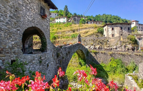 Vakantiehuis - Fabbriche di Vallico , Italië - ITL065 9