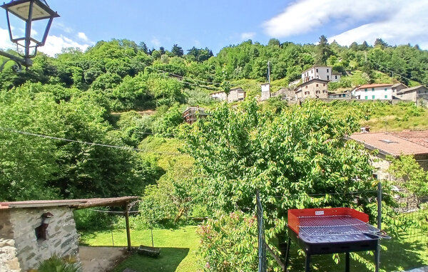 Holiday Home - Fabbriche di Vallico , Italy - ITL065 101