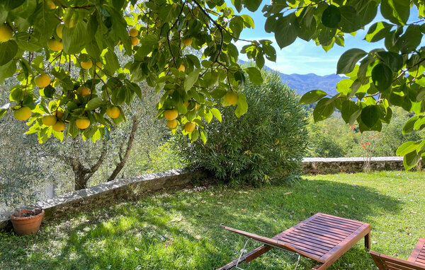 Domy wakacyjne - Barga , Wlochy - ITL066 9