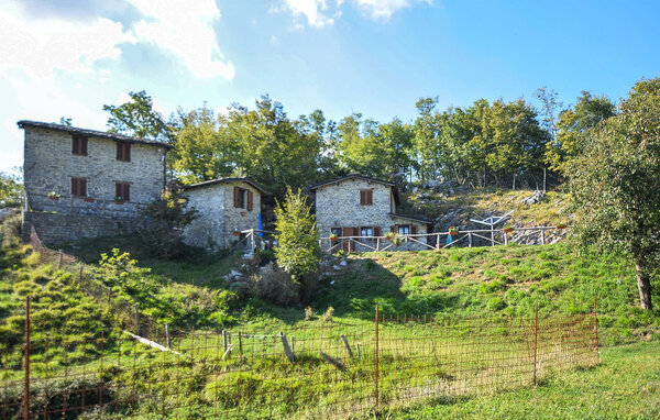 Holiday Home - Fabbriche di Vallico , Italy - ITL067 81