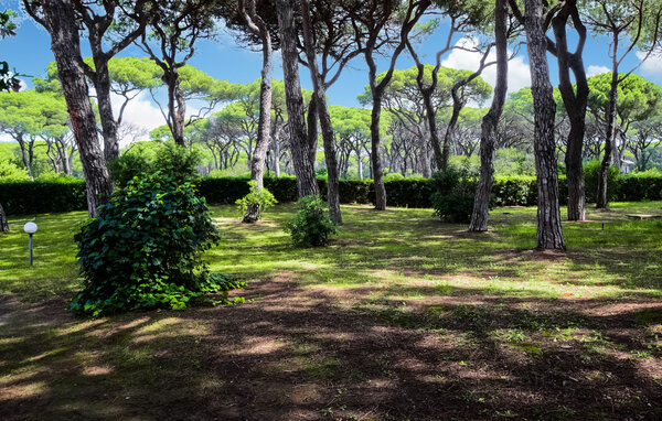 Appartement - Castiglione della Pescaia , Italie - ITM005 5