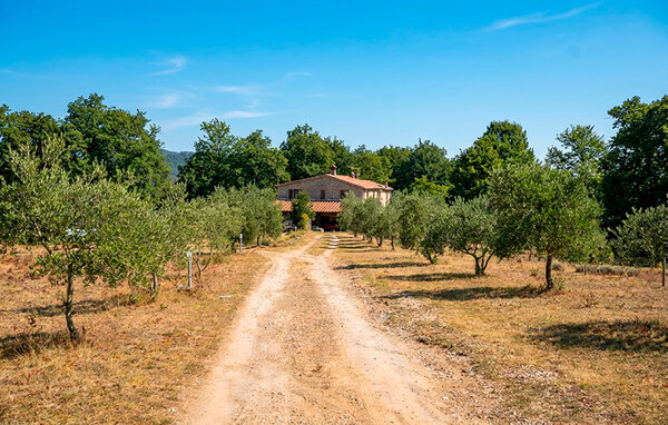 Apartment - Massa Marittima , Italy - ITM016 1