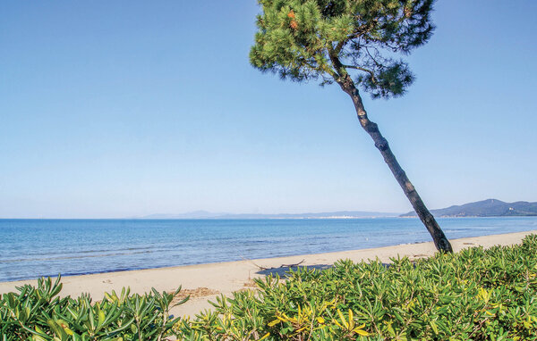 Appartement - Punta Ala , Italie - ITM018 901