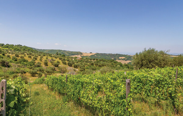 Casa vacanze - Civitella Marittima , Italia - ITM334 902
