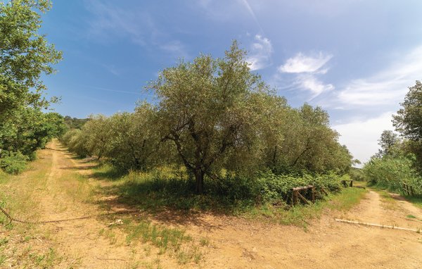 Ferienhaus - Castiglione della Pescaia , Italien - ITM362 903