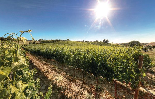 Feriebolig Andrea-Podere Moricci