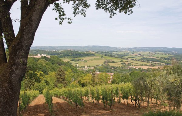 Domy wakacyjne - Montaione , Wlochy - ITN291 902