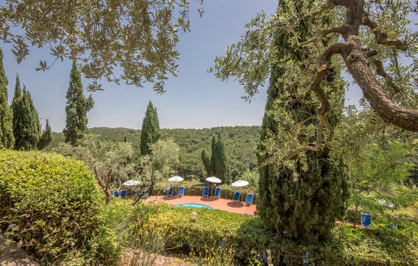 Apartman - Montaione , Italija - ITN297 13