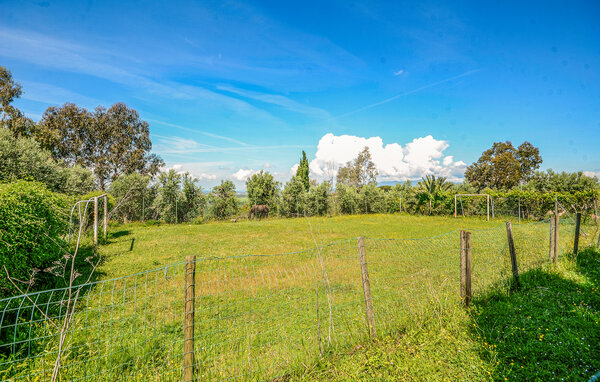 Location de vacances - Palaia , Italie - ITP020 803