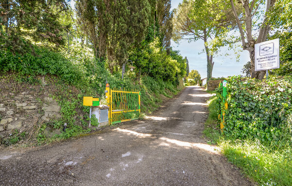 Location de vacances - Palaia , Italie - ITP020 806