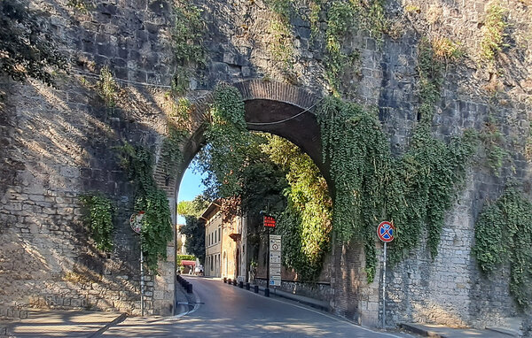 Appartamento - Pisa , Italia - ITP025 906