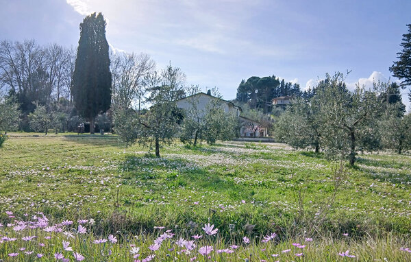 Ferienhaus - Casciana Terme , Italien - ITP028 86