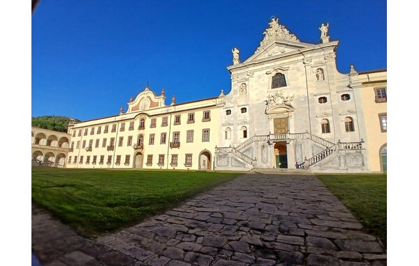 Apartament - Calci , Wlochy - ITP029 906