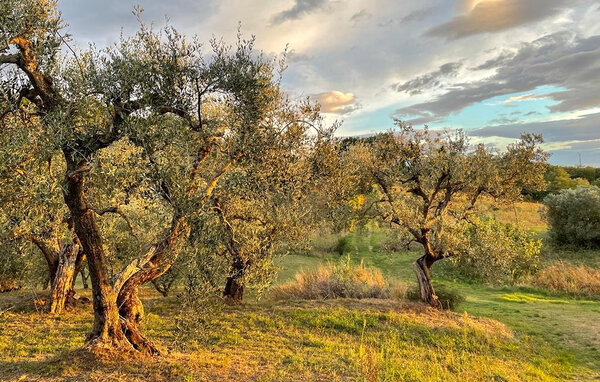 Feriehus - Casciana Terme , Italien - ITP031 901