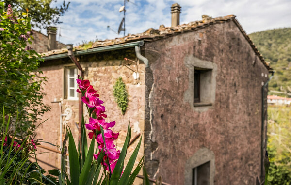 Ferienwohnung - Montecatini Val di Cecina , Italien - ITP050 2