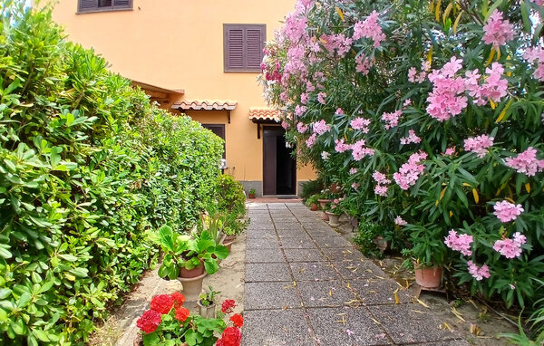 Appartement - Montescudaio , Italië - ITP057 81