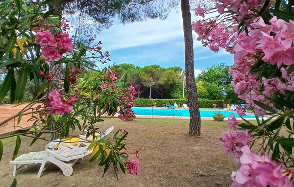 Appartement - Montescudaio , Italië - ITP057 11