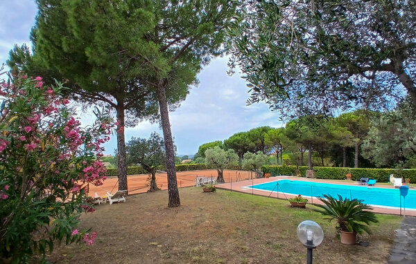 Appartement - Montescudaio , Italië - ITP057 1
