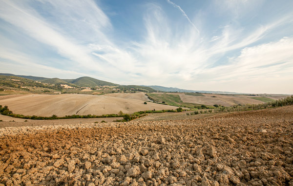 Leilighet Agriturismo Le Cannelle