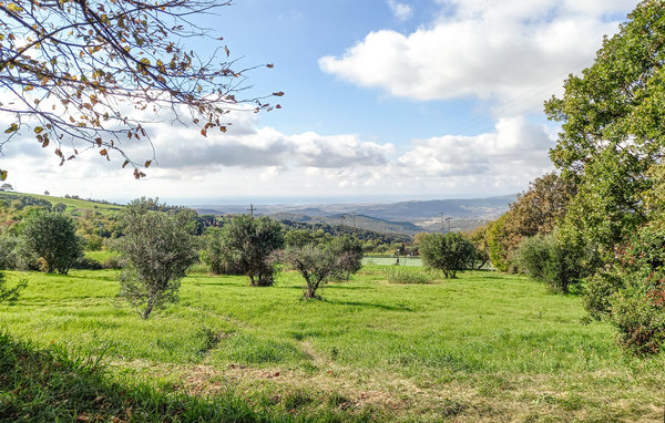 Ferieleilighet - Castellina Marittima , Italia - ITP638 102