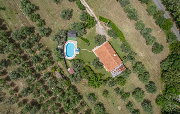 Casa vacanze - Bibbona , Italia - ITP640 13