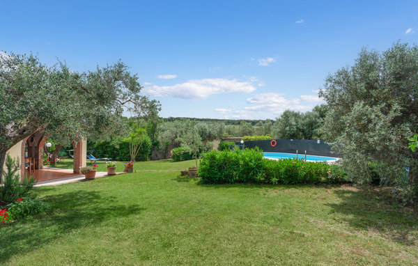 Casa vacanze - Bibbona , Italia - ITP640 16