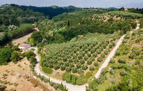 Ferienhaus - Montecastello , Italien - ITP656 8