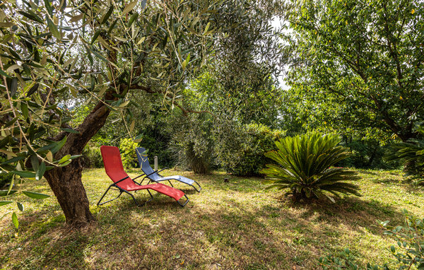 Ferienhaus - Montecastello , Italien - ITP656 102