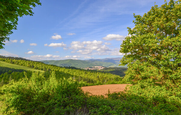Domy wakacyjne - Bibbiena , Wlochy - ITR014 902