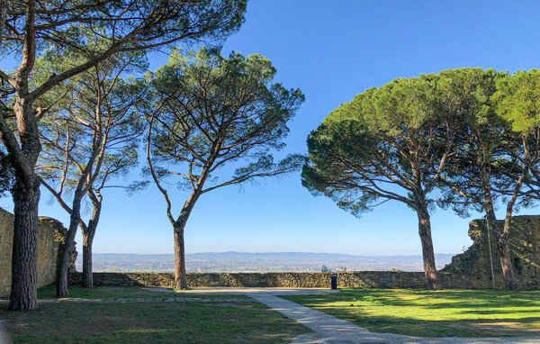 Casa vacanze - Castiglion Fiorentino , Italia - ITR020 905