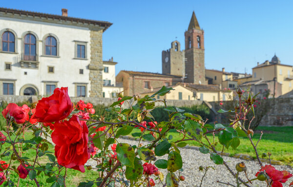 Appartamento - Monte San Savino , Italia - ITR026 1