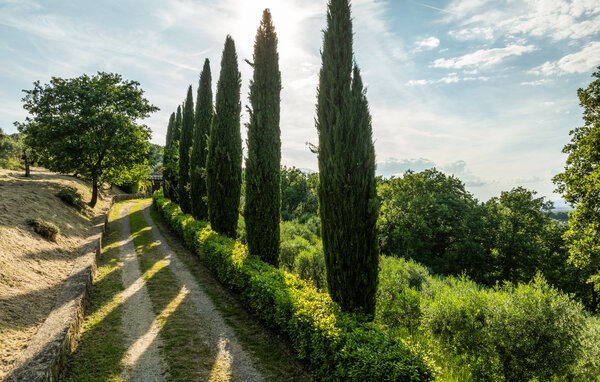 Casa de vacaciones - Arezzo , Italia - ITR040 8