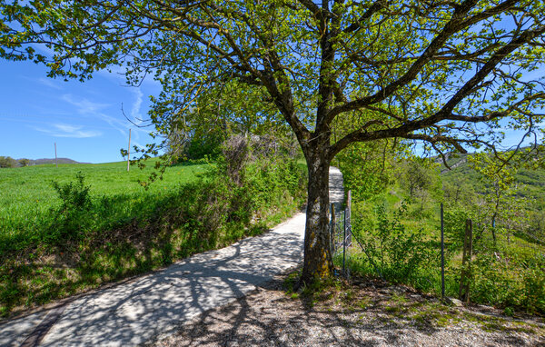 Ferienhaus - Sestino , Italien - ITR069 6