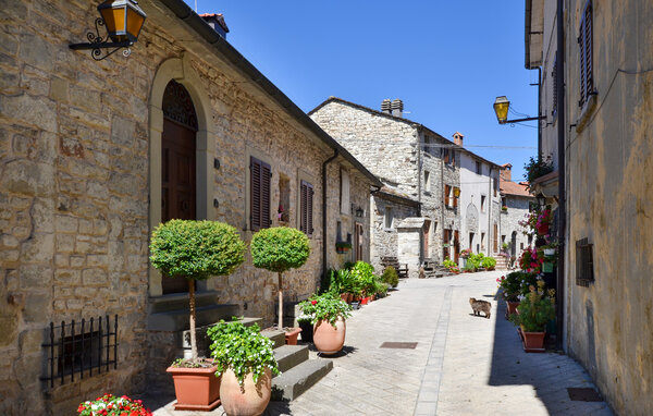 Ferienhaus - Sestino , Italien - ITR069 901