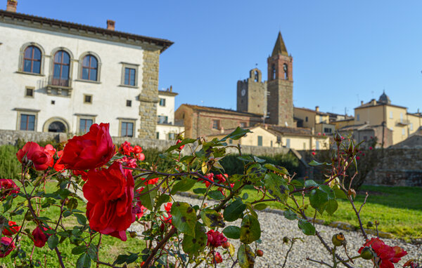 Ferienhaus - Monte San Savino , Italien - ITR071 7