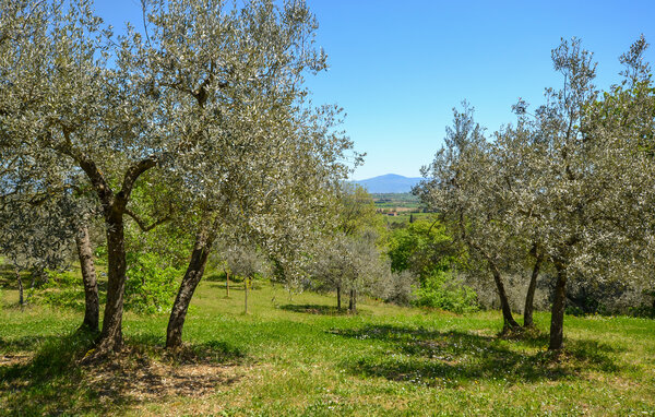 Ferienhaus - Monte San Savino , Italien - ITR071 201