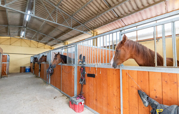 Semesterhus - Monterchi , Italien - ITR076 9