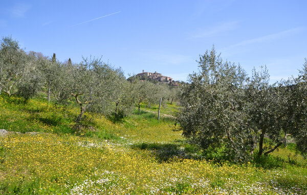 Semesterhus - Monterchi , Italien - ITR078 202